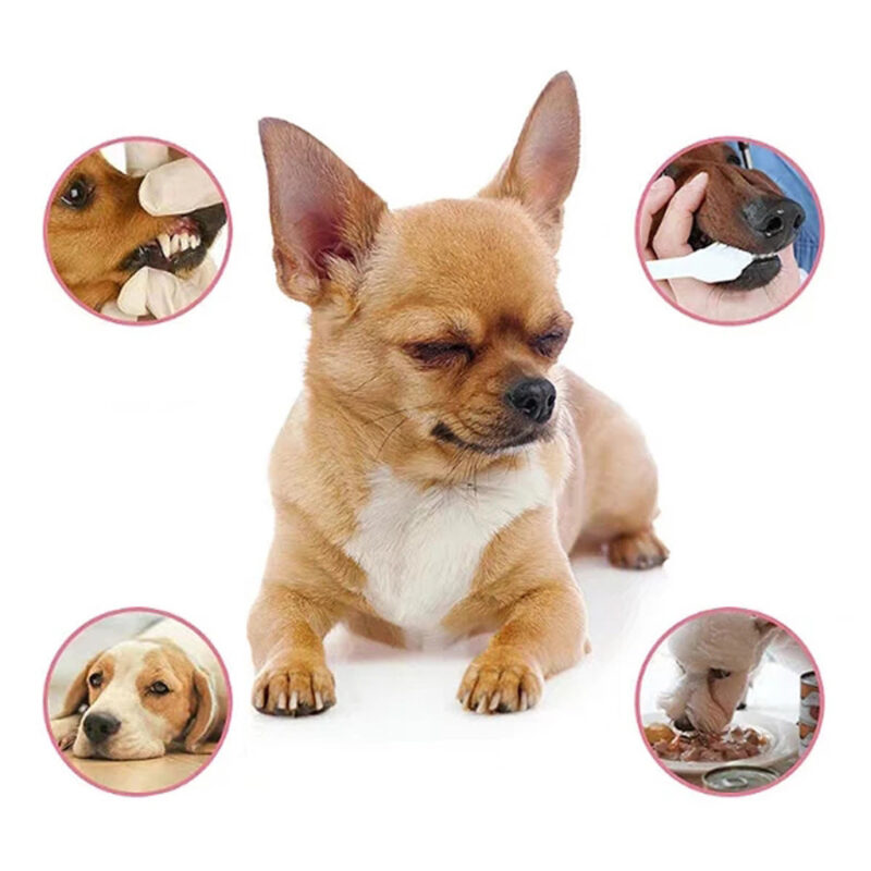 Pet supplies antibacterial dog oral deodorant - Image 2