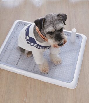 Dog Toilet Large Small Dog Automatic Pet Supplies