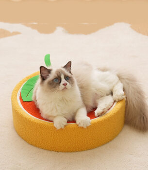 Cute Cat Scratch Board Pet Supplies