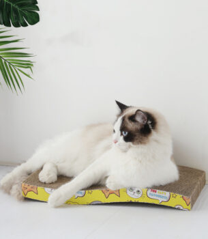 Fashion Triangle Round Pet Cat Supplies