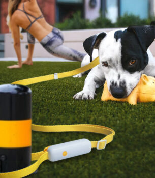 Pet Supplies Retractable Adjustable Dog Leash