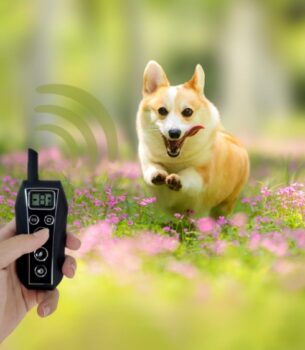 Fashion Pet Supplies Remote Control Dog Trainer