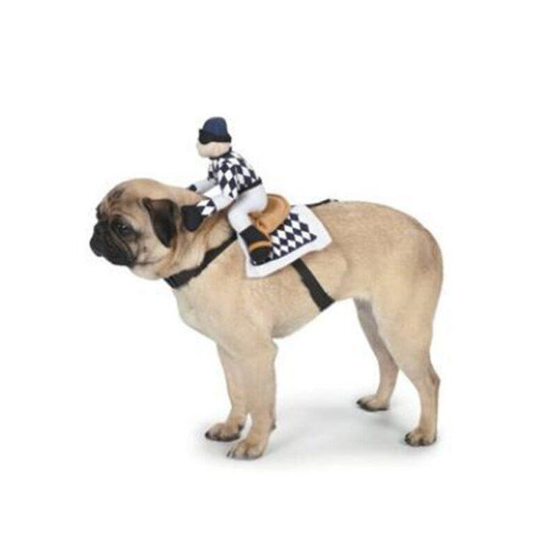 Cartoon Pet Cowboy Horseback Riding Costume Pet Supplies - Image 8