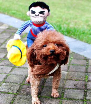 Halloween Pet Costume Pet Dog Funny Clothes Adjustable Dog Cosplay Costume Scary Costume Party Gatherings