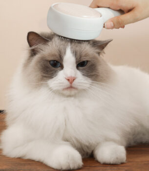 Special  Needle Comb Cat Supplies Cleaning
