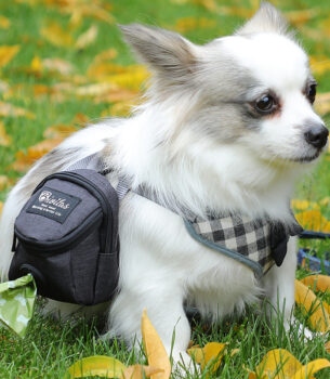 Fashion Personality Pet Supplies Dog Bag