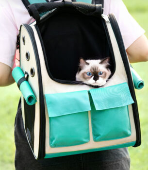Takeaway Cat Out Bag Winter Pet Supplies