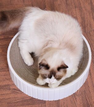 Cat Scratch Plate Round Pet Supplies
