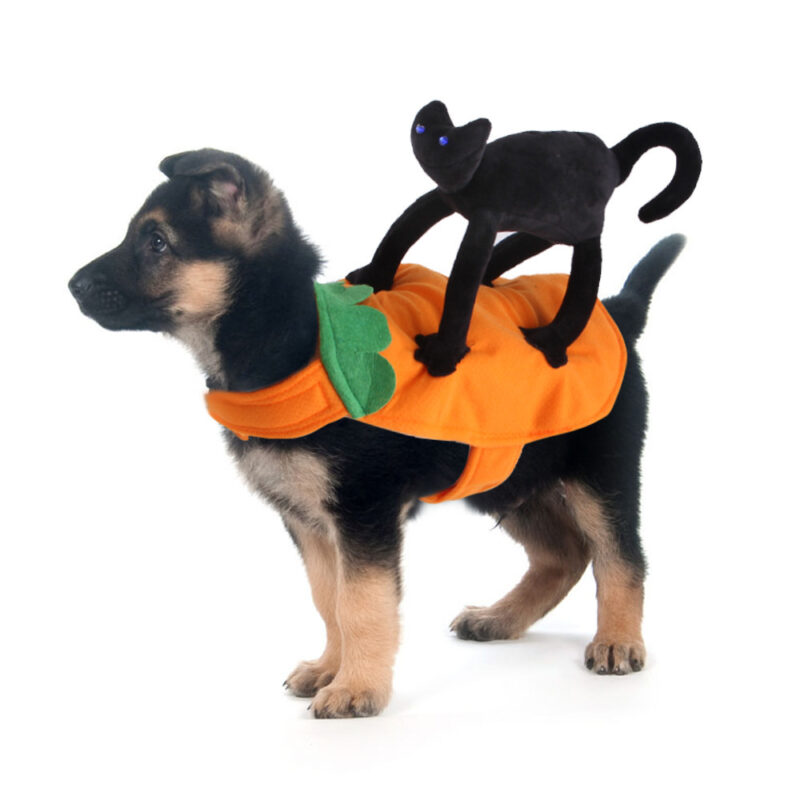 Cartoon Pet Cowboy Horseback Riding Costume Pet Supplies - Image 10