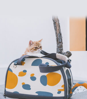 Fashion Personality Cat Supplies Tote Bag
