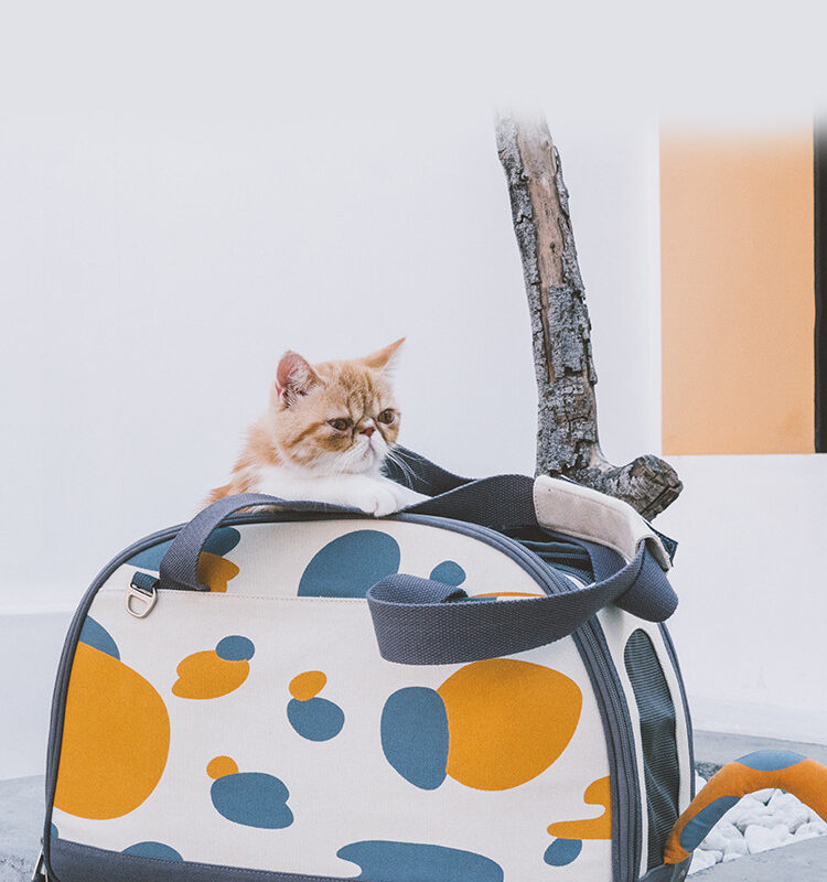 Fashion Personality Cat Supplies Tote Bag