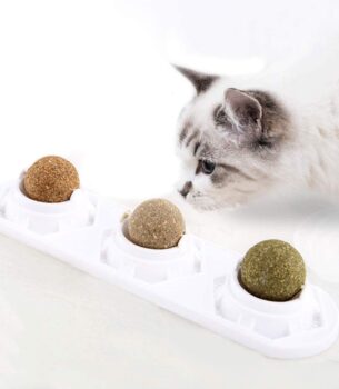 Cat Self-hey Toy Molar Supplies